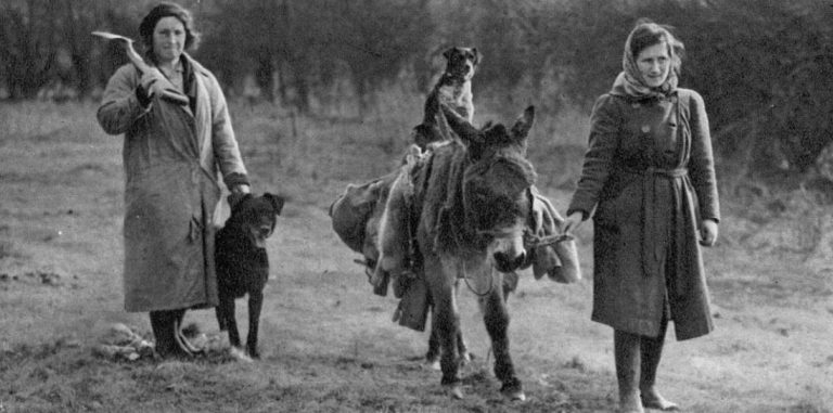 The British Newspaper Archive Blog Women In The Second World War | The ...