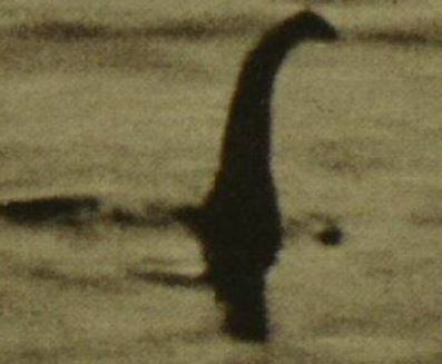 The British Newspaper Archive Blog The Loch Ness Monster | The British ...